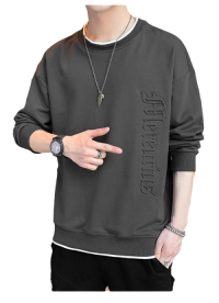 SWT250401 100% Polyester Mens Sweatshirt with 3D Self-matching Color Bold Print