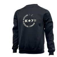 SWT250901 100% Polyester Fleece 240 GSM Men's Long Sleeve Sweatshirt