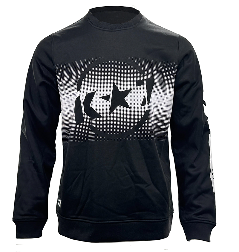 SWT250904 100% Polyester Fleece 240 GSM Men's Long Sleeve Sweatshirt