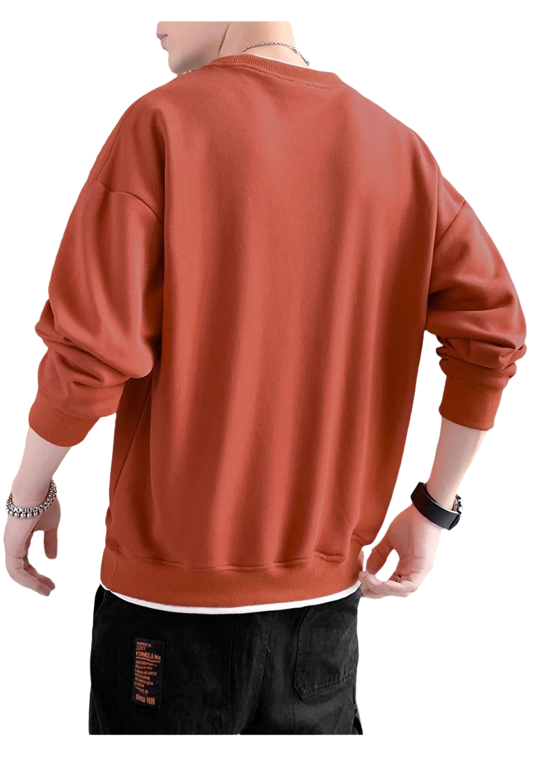 SWT250401 100% Polyester Mens Sweatshirt with 3D Self-matching Color Bold Print