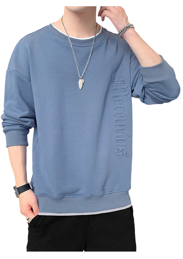 SWT250401 100% Polyester Mens Sweatshirt with 3D Self-matching Color Bold Print