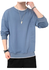 SWT250401 100% Polyester Mens Sweatshirt with 3D Self-matching Color Bold Print