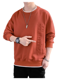 SWT250401 100% Polyester Mens Sweatshirt with 3D Self-matching Color Bold Print