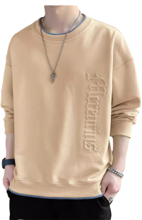 SWT250401 100% Polyester Mens Sweatshirt with 3D Self-matching Color Bold Print